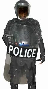 Alternative view of Anti-Riot Police Shield